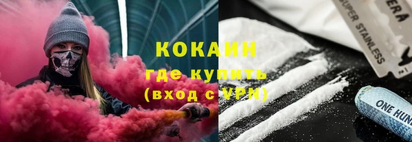 шишки Балахна
