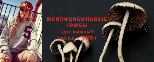 2c-b Беломорск