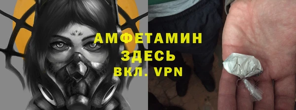 ГАЛЛЮЦИНОГЕННЫЕ ГРИБЫ Баксан