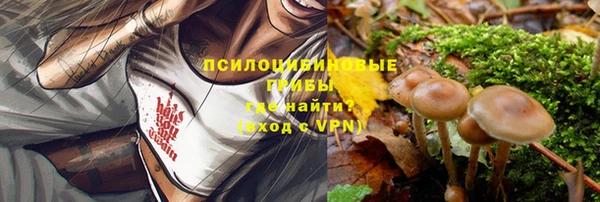 шишки Балахна