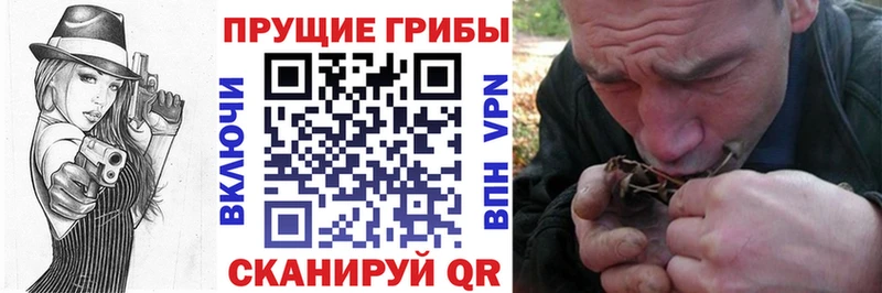 Галлюциногенные грибы мухоморы  хочу наркоту  Киреевск 